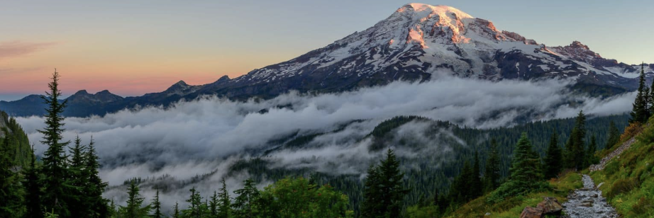 Mt. Rainier National Park
